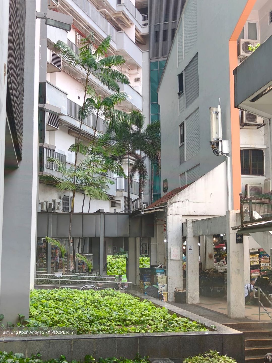 Clementi Avenue 3 (D5), Shop House #603154431